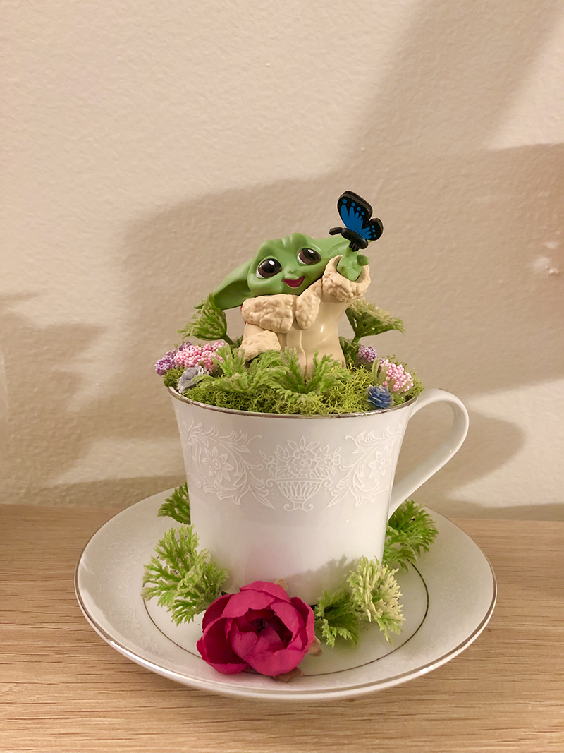 grogu butterfly