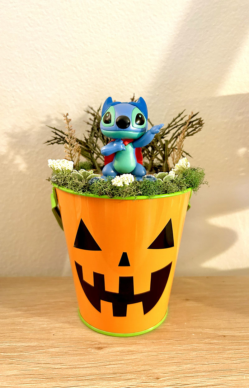 Lilo and Stitch Pots 