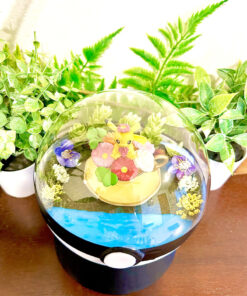 Alternative view of Huge Pikachu Pokemon Pokeball Terrarium