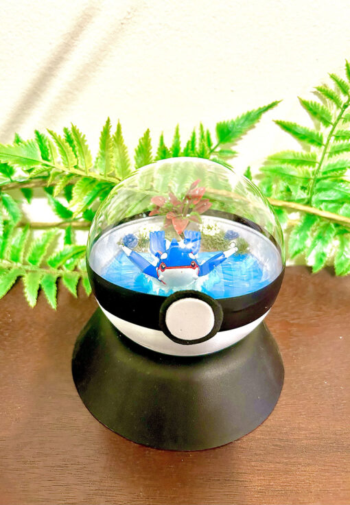 #382 Kyogre Pokeball Terrarium