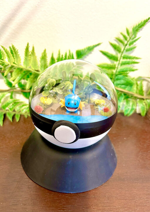 #258 Mudkip Pokeball Terrarium