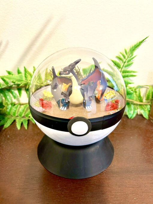 Huge Shiny Mega Y Charizard Pokeball Terrarium