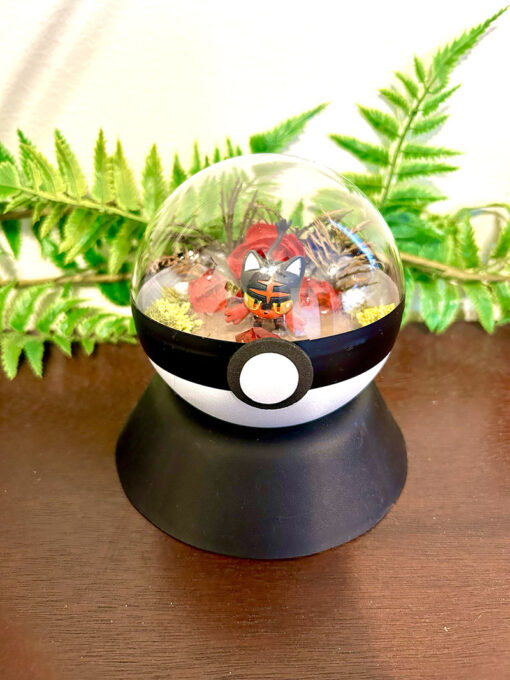 #725 Litten Pokeball Terrarium