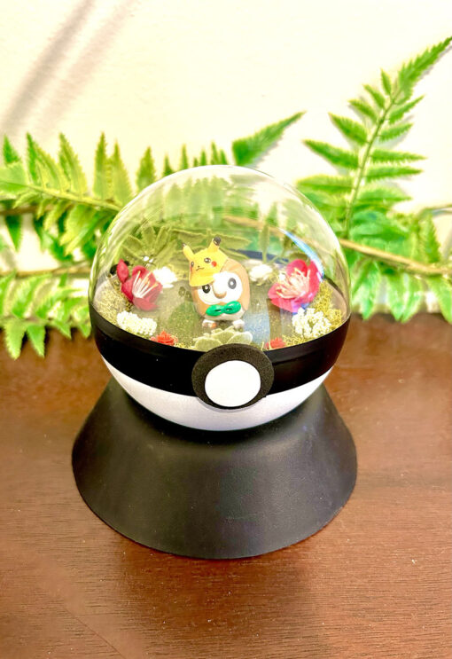 #722 Rowlet Pokeball Terrarium