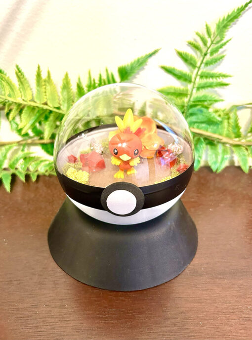 #255 Torchic Pokeball Terrarium