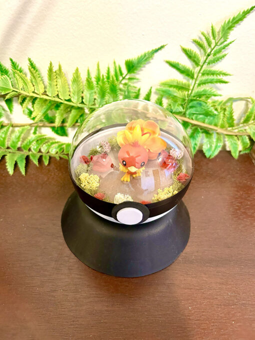 #255 Torchic Pokeball Terrarium - Image 2