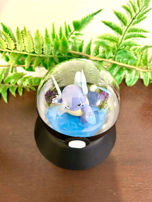 #008 Wartortle Pokeball Terrarium - Image 2