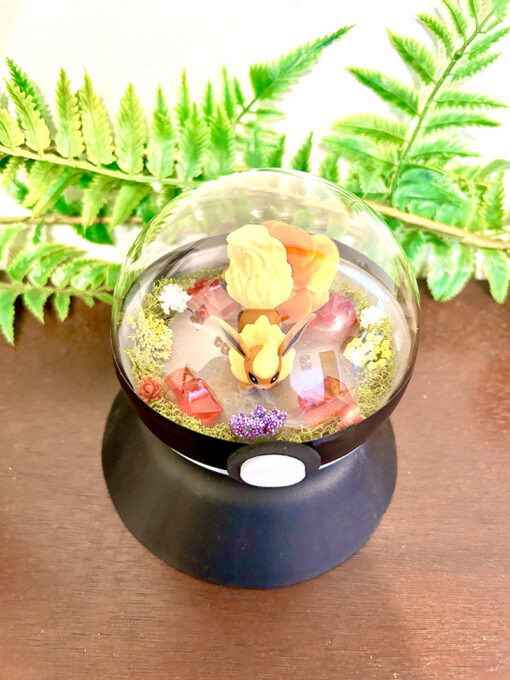 #136 Flareon Pokeball Terrarium - Image 2