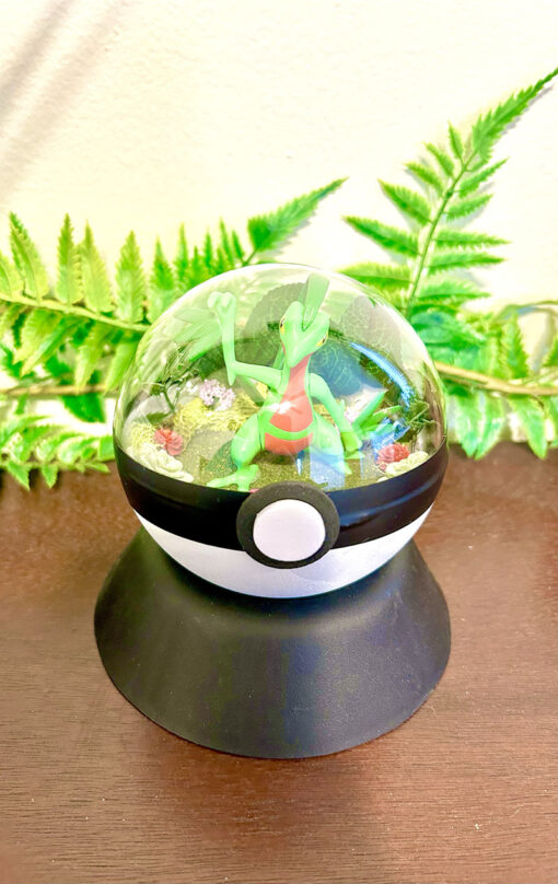 #253 Grovyle Pokeball Terrarium