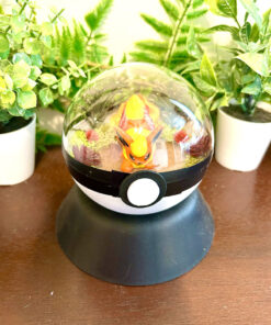 #136 Flareon Pokeball Terrarium