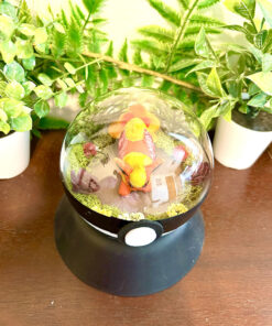 Alternative view of #136 Flareon Pokeball Terrarium