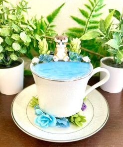 Cat Tea Cup Terrarium
