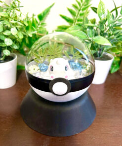 #974 Cetoddle Pokeball Terrarium