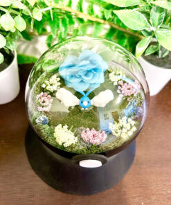 Alternative view of #333 Swablu Pokeball Terrarium