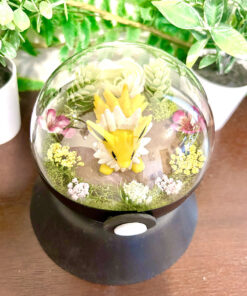 Alternative view of #135 Jolteon Pokeball Terrarium