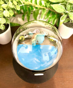 Alternative view of #007 Squirtle Pokeball Terrarium