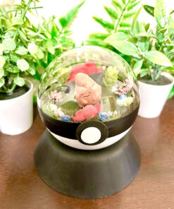 #173 Cleffa Pokeball Terrarium