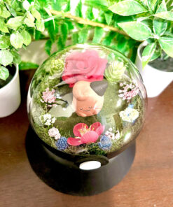 Alternative view of #173 Cleffa Pokeball Terrarium