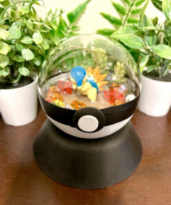 #155 Cyndaquil Pokeball Terrarium