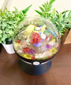 Alternative view of Huge Ninetales Pokeball Terrarium