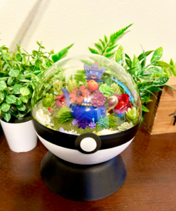 Huge Zorua Pokeball Terrarium