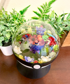 Alternative view of Huge Zorua Pokeball Terrarium