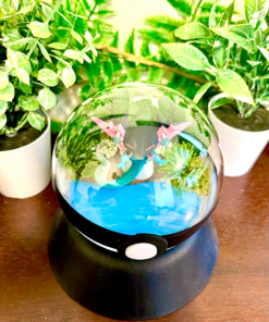 Alternative view of #887 Dragapult Pokeball Terrarium