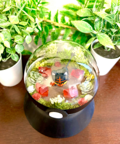 Alternative view of #725 Litten Pokeball Terrarium