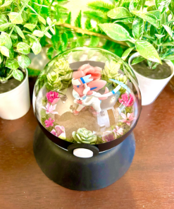 Alternative view of #700 Sylveon Pokeball Terrarium