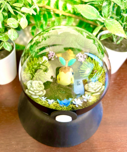Alternative view of #387 Turtwig Pokeball Terrarium