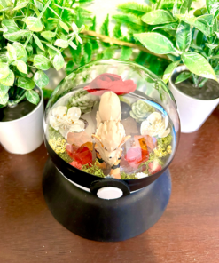 Alternative view of #059 Arcanine Pokeball Terrarium