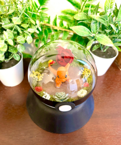 Alternative view of #004 Charmander Pokeball Terrarium