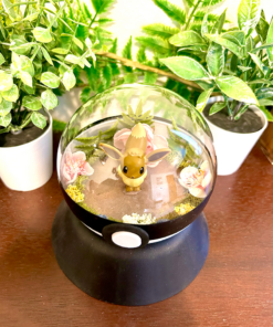Alternative view of #133 Eevee Pokeball Terrarium