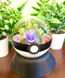#094 Gengar Pokeball Terrarium