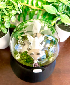 Alternative view of #745 Lycanroc Midday Form Pokeball Terrarium