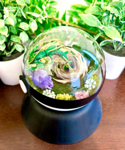 Alternative view of #384 Mega Rayquaza Pokeball Terrarium