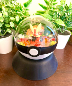 #257 Mega Blaziken Pokeball Terrarium