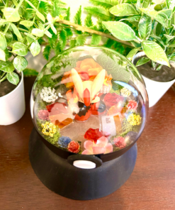 Alternative view of #257 Mega Blaziken Pokeball Terrarium