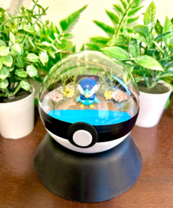 #393 Piplup Pokeball Terrarium