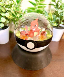 #005 Charmeleon Pokeball Terrarium
