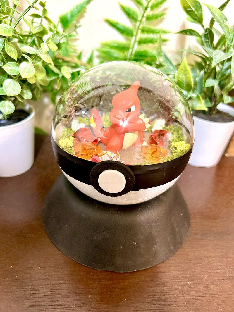 #005 Charmeleon Pokeball Terrarium
