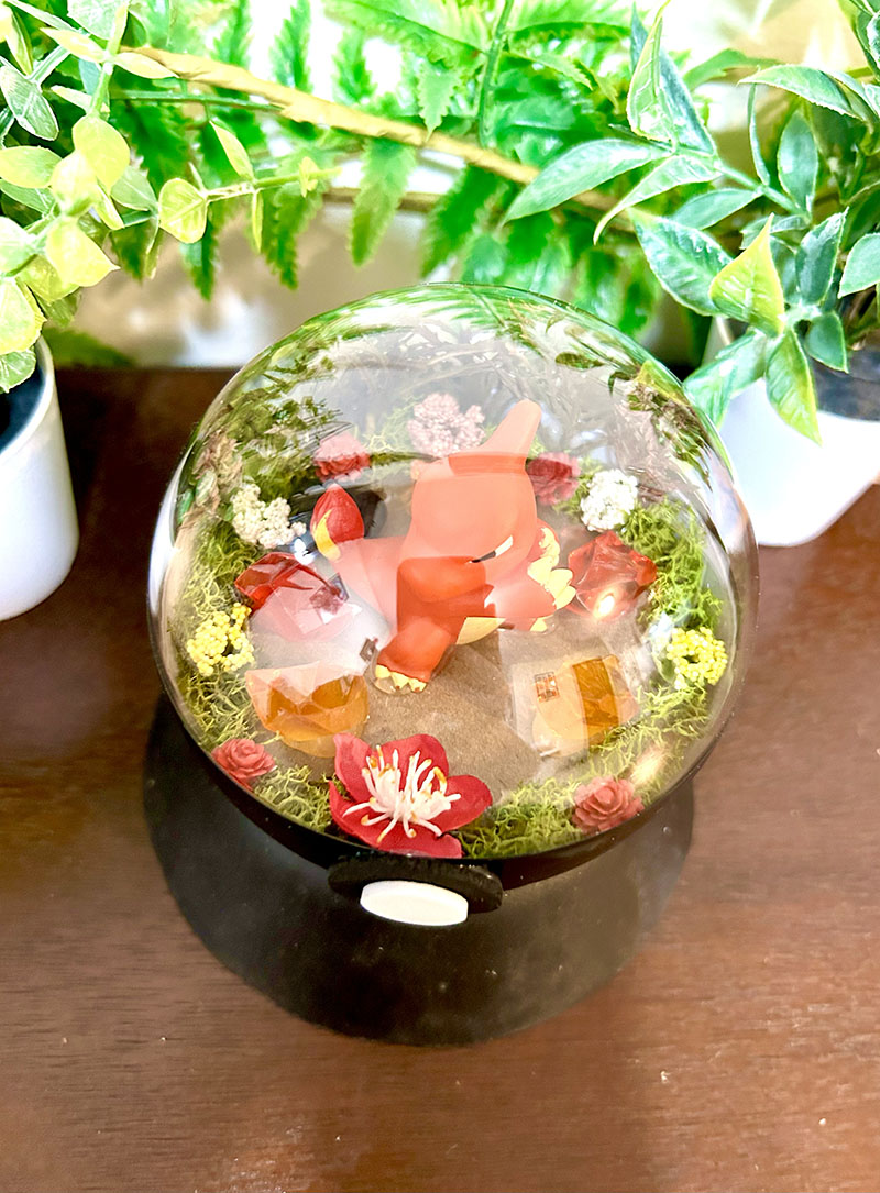 #005 Charmeleon Pokeball Terrarium - Image 2