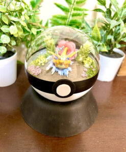 #149 Dragonite Pokeball Terrarium