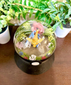 Alternative view of #149 Dragonite Pokeball Terrarium