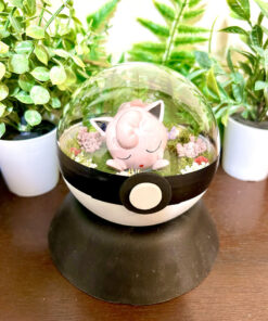 #039 Jigglypuff Pokeball Terrarium