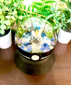 Alternative view of #646 Kyurem Black Pokeball Terrarium
