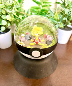 #213 Shuckle Pokeball Terrarium