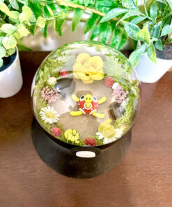 Alternative view of #213 Shuckle Pokeball Terrarium
