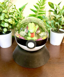 #252 Treecko Pokeball Terrarium