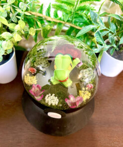 Alternative view of #252 Treecko Pokeball Terrarium